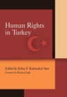 Image for Human Rights in Turkey