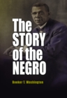Image for The story of the Negro: the rise of the race from slavery