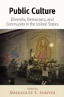 Image for Public culture: diversity, democracy, and community in the United States