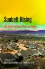 Image for Sunbelt rising: the politics of space, place, and region