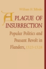 Image for A Plague of Insurrection : Popular Politics and Peasant Revolt in Flanders, 1323-1328