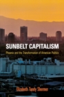 Image for Sunbelt Capitalism