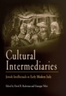 Image for Cultural intermediaries  : Jewish intellectuals in early modern Italy