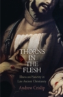 Image for Thorns in the flesh  : illness and sanctity in late ancient Christianity