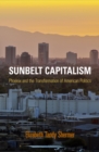 Image for Sunbelt capitalism  : Phoenix and the transformation of American politics