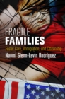 Image for Fragile Families: Foster Care, Immigration, and Citizenship