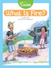 Image for What Is Fire?