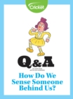 Image for How Do We Sense Someone Behind Us?