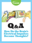 Image for How Do the Brain&#39;s Electrical Impulses Become Thoughts?