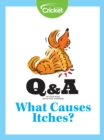 Image for What Causes Itches?