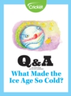 Image for What Made the Ice Age So Cold?