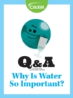 Image for Why is Water So Important?