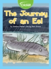 Image for Journey of an Eel