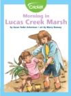 Image for Morning in Lucas Creek Marsh