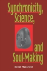 Image for Synchronicity, Science, and Soulmaking