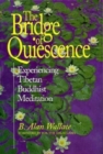 Image for Bridge of Quiescence