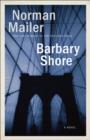 Image for Barbary shore