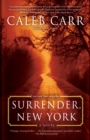 Image for Surrender, New York: A Novel