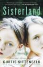 Image for Sisterland: a novel