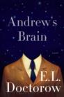 Image for Andrew&#39;s Brain: A Novel