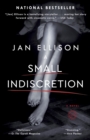 Image for Small Indiscretion: A Novel