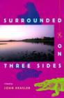 Image for Surrounded on Three Sides