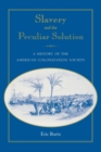 Image for Slavery and the Peculiar Solution : A History of the American Colonization Society