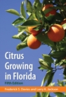 Image for Citrus Growing In Florida