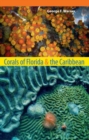 Image for Corals of Florida and the Caribbean