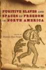 Image for Fugitive slaves and spaces of freedom in North America