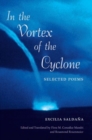 Image for In the Vortex of the Cyclone