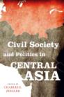 Image for Civil society and politics in Central Asia