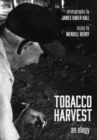 Image for Tobacco harvest  : an elegy