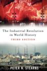 Image for The Industrial Revolution in World History