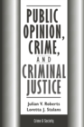 Image for Public Opinion, Crime, And Criminal Justice