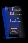 Image for Feminist Dilemmas In Fieldwork