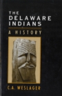 Image for The Delaware Indians : A History