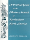 Image for A Practical Guide to the Marine Animals of Northeastern North America