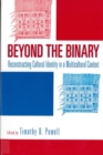 Image for Beyond the Binary : Reconstructing Cultural Identity in a Multicultural Context