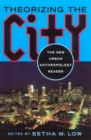 Image for Theorizing the city  : the new urban anthropology reader