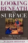 Image for Looking Beneath the Surface