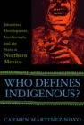 Image for Who Defines Indigenous?