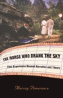 Image for Horse Who Drank the Sky: Film Experience Beyond Narrative and Theory