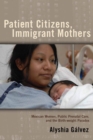 Image for Patient Citizens, Immigrant Mothers : Mexican Women, Public Prenatal Care, and the Birth Weight Paradox