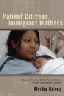 Image for Patient Citizens, Immigrant Mothers: Mexican Women, Public Prenatal Care, and the Birth Weight Paradox