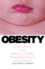 Image for Obesity: Cultural and Biocultural Perspectives
