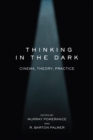 Image for Thinking in the Dark : Cinema, Theory, Practice