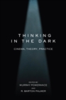 Image for Thinking in the Dark