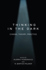 Image for Thinking in the dark: cinema, theory, practice