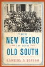 Image for The New Negro in the Old South